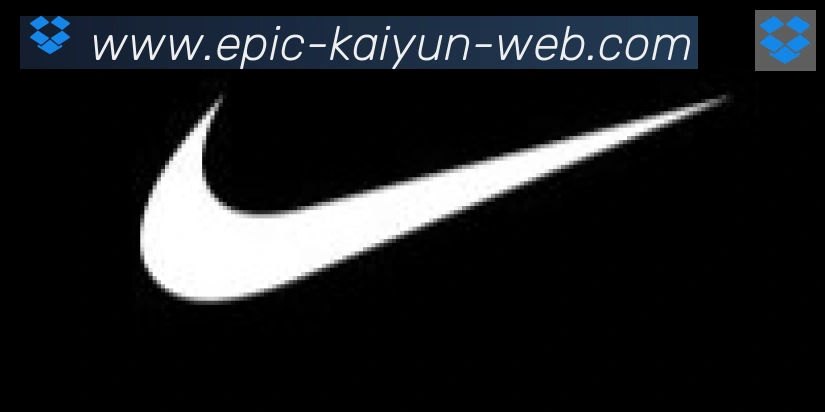 开云体育合作伙伴